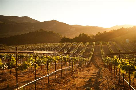 The Best Sonoma Hotels and Resorts .